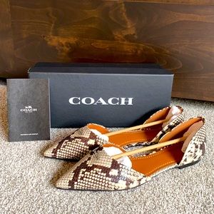Coach Snakeskin Pointed Flat - Women’s Size 10
